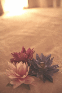 flowers on the bed