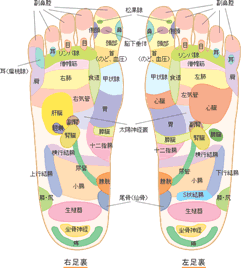 foot reflexology